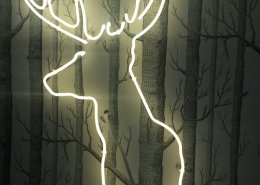 20150209_191204